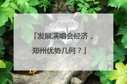 发展演唱会经济，郑州优势几何？