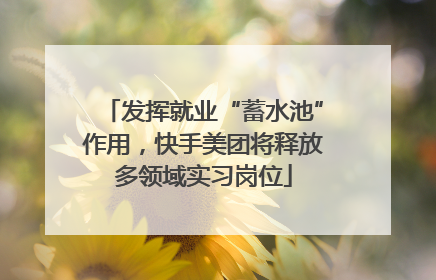 发挥就业“蓄水池”作用，快手美团将释放多领域实习岗位