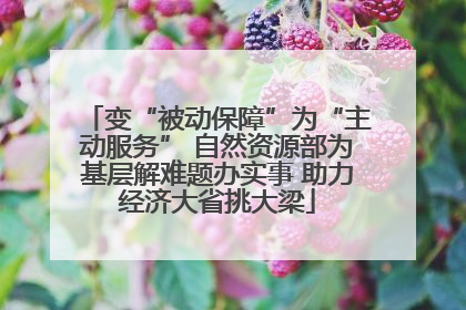 变“被动保障”为“主动服务” 自然资源部为基层解难题办实事 助力经济大省挑大梁