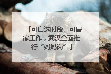 可自选时段、可居家工作，武汉全面推行“妈妈岗”