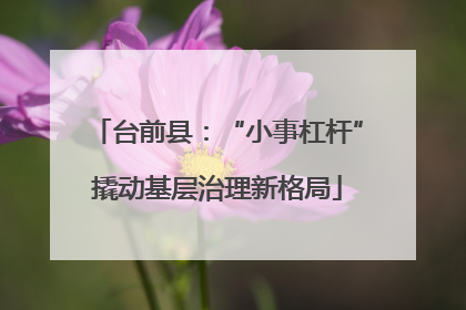 台前县：“小事杠杆”撬动基层治理新格局