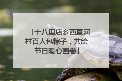 十八里店乡西直河村百人包粽子，共绘节日暖心画卷