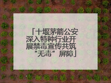 十堰茅箭公安深入特种行业开展禁毒宣传共筑“无毒”屏障