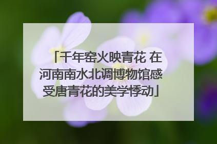 千年窑火映青花 在河南南水北调博物馆感受唐青花的美学悸动
