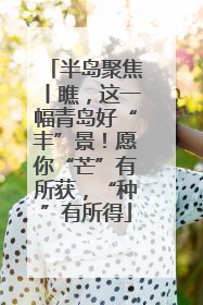 半岛聚焦丨瞧，这一幅青岛好“丰”景！愿你“芒”有所获，“种”有所得