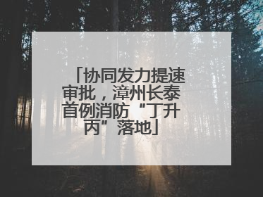 协同发力提速审批，漳州长泰首例消防“丁升丙”落地