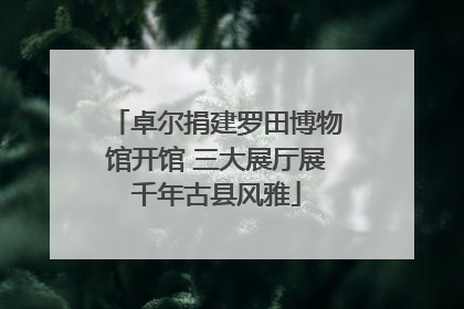 卓尔捐建罗田博物馆开馆 三大展厅展千年古县风雅