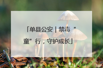 单县公安｜禁毒“童”行，守护成长