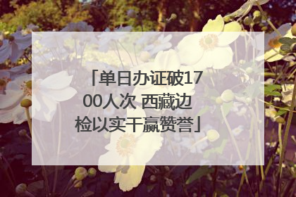 单日办证破1700人次 西藏边检以实干赢赞誉