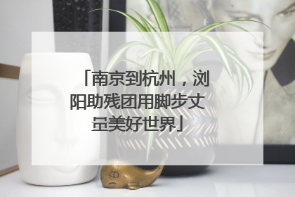 南京到杭州，浏阳助残团用脚步丈量美好世界