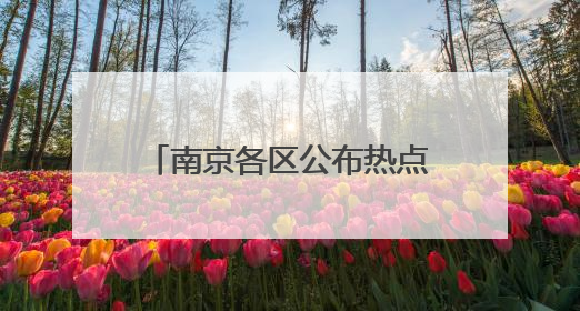 南京各区公布热点公办学校、民办学校电脑派位计划