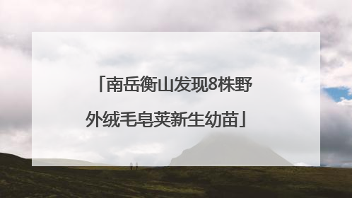 南岳衡山发现8株野外绒毛皂荚新生幼苗