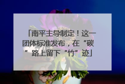 南平主导制定！这一团体标准发布，在“碳”路上留下“竹”迹