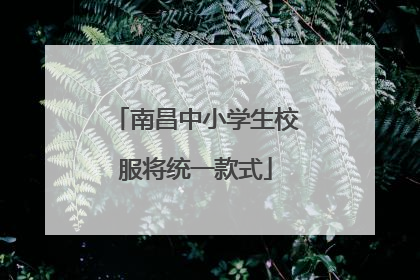 南昌中小学生校服将统一款式