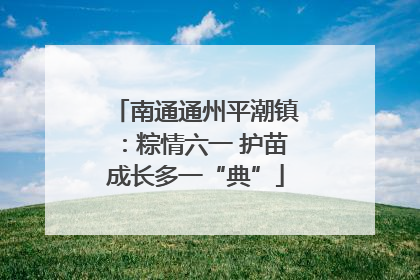 南通通州平潮镇：粽情六一 护苗成长多一“典”