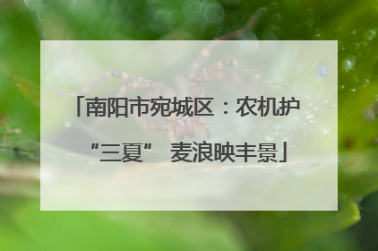 南阳市宛城区：农机护“三夏” 麦浪映丰景