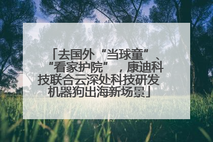 去国外“当球童”、“看家护院”，康迪科技联合云深处科技研发机器狗出海新场景