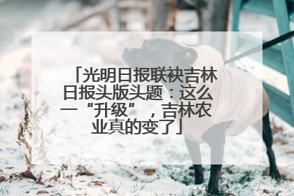 光明日报联袂吉林日报头版头题：这么一“升级”，吉林农业真的变了