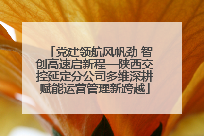 党建领航风帆劲 智创高速启新程—陕西交控延定分公司多维深耕赋能运营管理新跨越