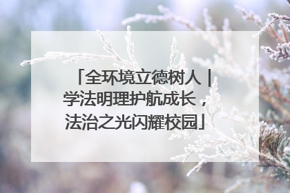 全环境立德树人｜学法明理护航成长，法治之光闪耀校园