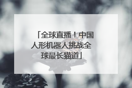 全球直播！中国人形机器人挑战全球最长猫道