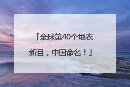 全球第40个地衣新目，中国命名！