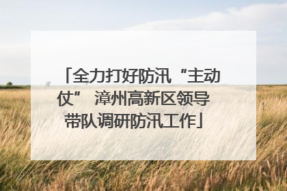 全力打好防汛“主动仗” 漳州高新区领导带队调研防汛工作