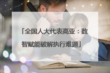 全国人大代表高亚：数智赋能破解执行难题