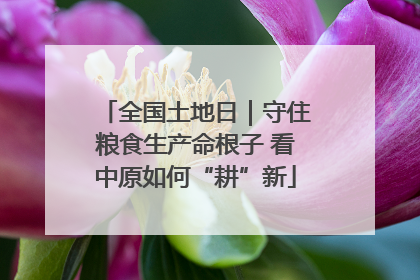 全国土地日｜守住粮食生产命根子 看中原如何“耕”新