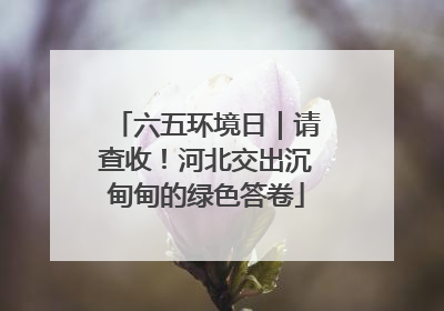 六五环境日｜请查收！河北交出沉甸甸的绿色答卷