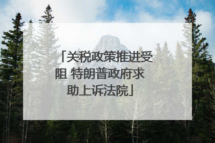 关税政策推进受阻 特朗普政府求助上诉法院