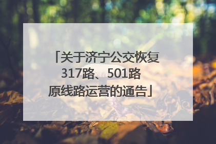 关于济宁公交恢复317路、501路原线路运营的通告