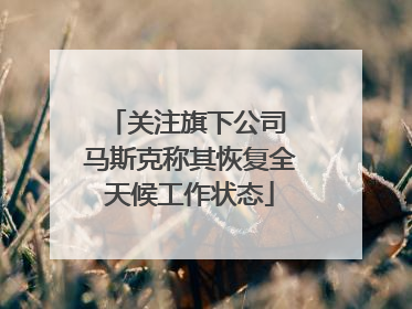 关注旗下公司 马斯克称其恢复全天候工作状态