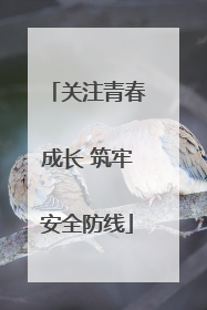 关注青春成长 筑牢安全防线