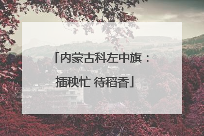 内蒙古科左中旗：插秧忙 待稻香