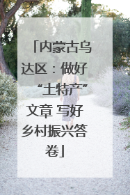 内蒙古乌达区：做好“土特产”文章 写好乡村振兴答卷