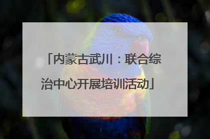 内蒙古武川：联合综治中心开展培训活动