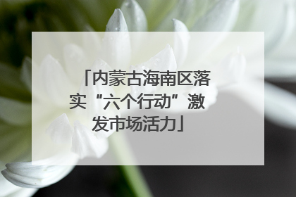 内蒙古海南区落实“六个行动”激发市场活力