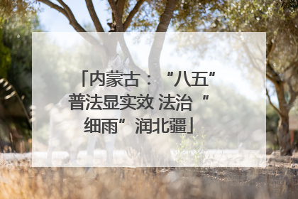 内蒙古：“八五”普法显实效 法治“细雨”润北疆