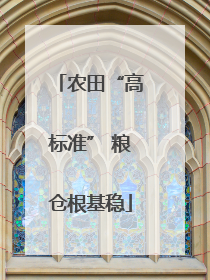 农田“高标准” 粮仓根基稳