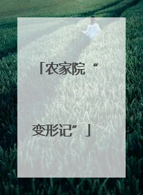 农家院“变形记”