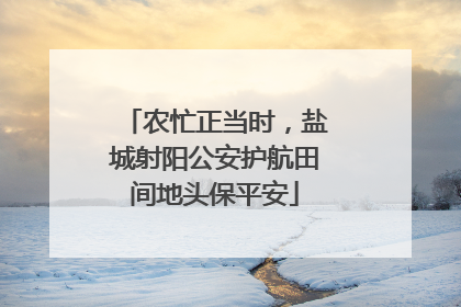 农忙正当时，盐城射阳公安护航田间地头保平安