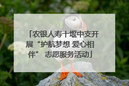 农银人寿十堰中支开展“护航梦想 爱心相伴” 志愿服务活动