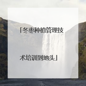 冬枣种植管理技术培训到地头