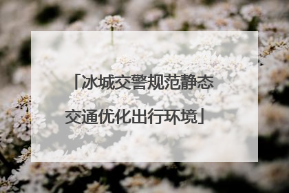 冰城交警规范静态交通优化出行环境