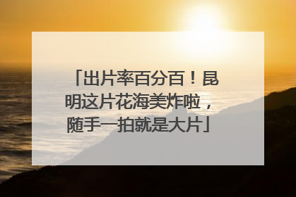 出片率百分百！昆明这片花海美炸啦，随手一拍就是大片