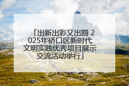 出新出彩又出圈 2025年硚口区新时代文明实践优秀项目展示交流活动举行