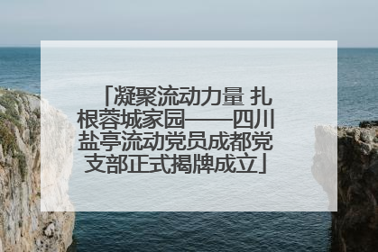凝聚流动力量 扎根蓉城家园——四川盐亭流动党员成都党支部正式揭牌成立