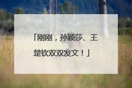 刚刚，孙颖莎、王楚钦双双发文！