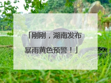 刚刚，湖南发布暴雨黄色预警！